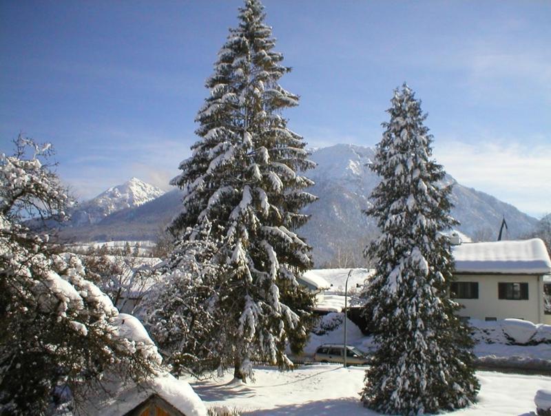 Gaestehaus Berger Inkl. Chiemgaukarte Ruhpolding Exteriér fotografie